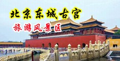 美女的奶子好肥黄片中国北京-东城古宫旅游风景区
